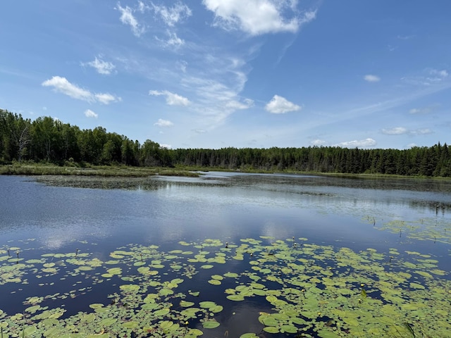 TBD Pequaywan Lake Rd, Duluth, MN 55803