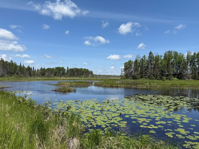 TBD Pequaywan Lake Rd, Duluth, MN 55803