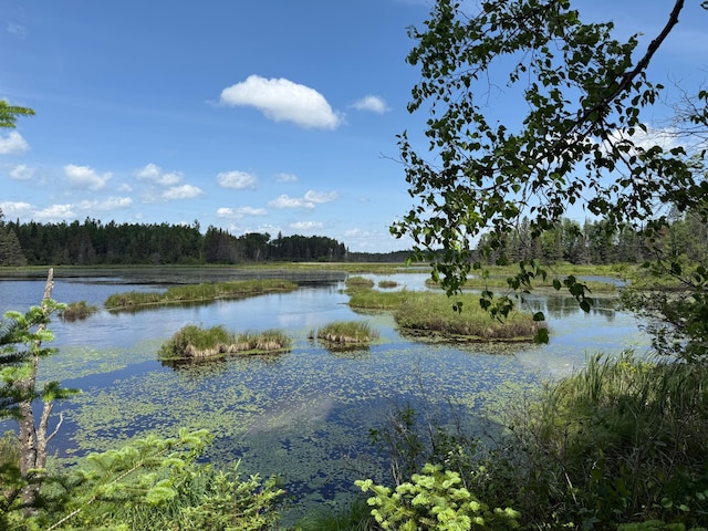 TBD Pequaywan Lake Rd, Duluth, MN 55803