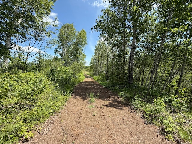 TBD Pequaywan Lake Rd, Duluth, MN 55803