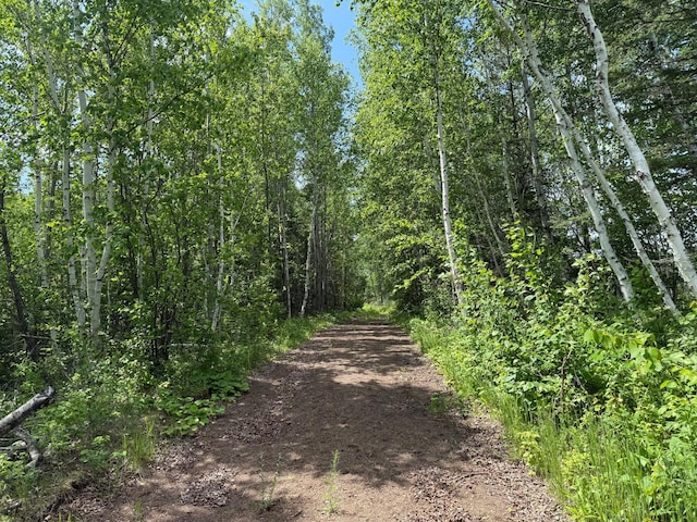 TBD Pequaywan Lake Rd, Duluth, MN 55803