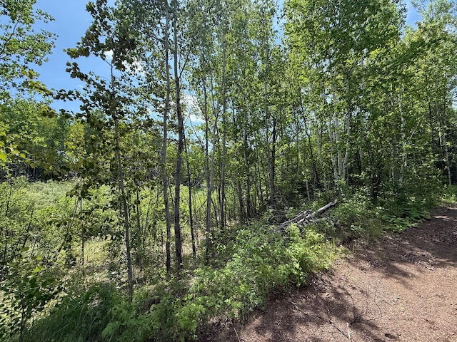 TBD Pequaywan Lake Rd, Duluth, MN 55803