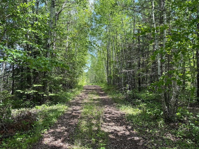 TBD Pequaywan Lake Rd, Duluth, MN 55803