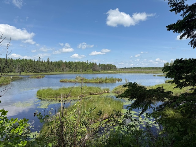 TBD Pequaywan Lake Rd, Duluth, MN 55803