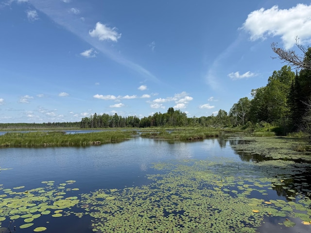 TBD Pequaywan Lake Rd, Duluth, MN 55803