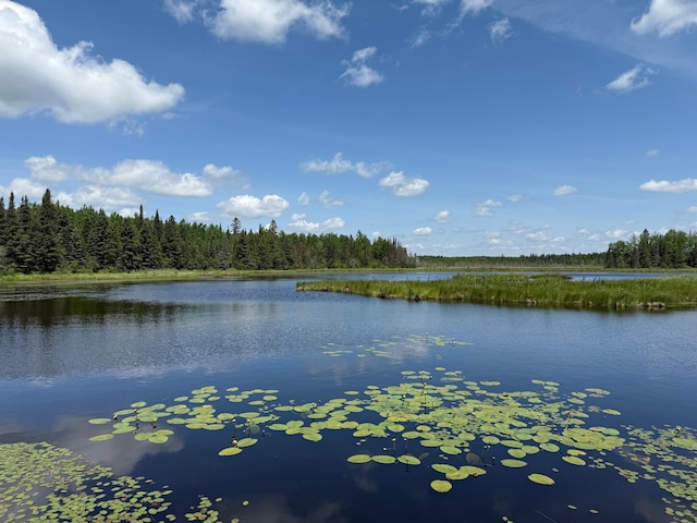 TBD Pequaywan Lake Rd, Duluth, MN 55803