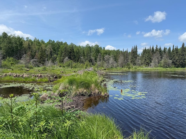 TBD Pequaywan Lake Rd, Duluth, MN 55803