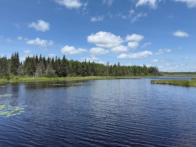 TBD Pequaywan Lake Rd, Duluth, MN 55803