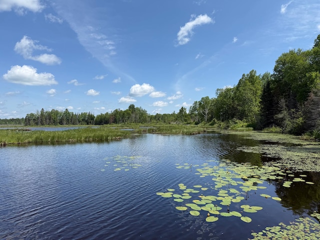 TBD Pequaywan Lake Rd, Duluth, MN 55803