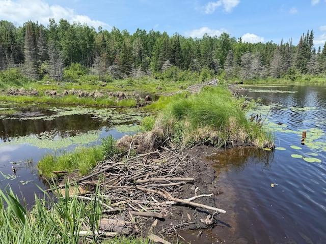 TBD Pequaywan Lake Rd, Duluth, MN 55803