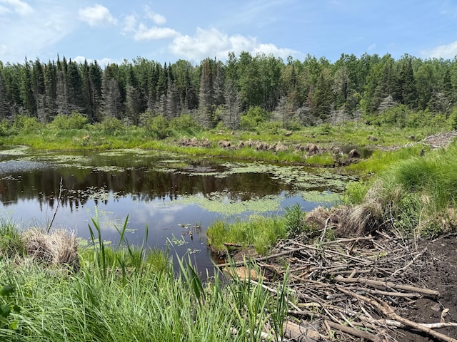 TBD Pequaywan Lake Rd, Duluth, MN 55803