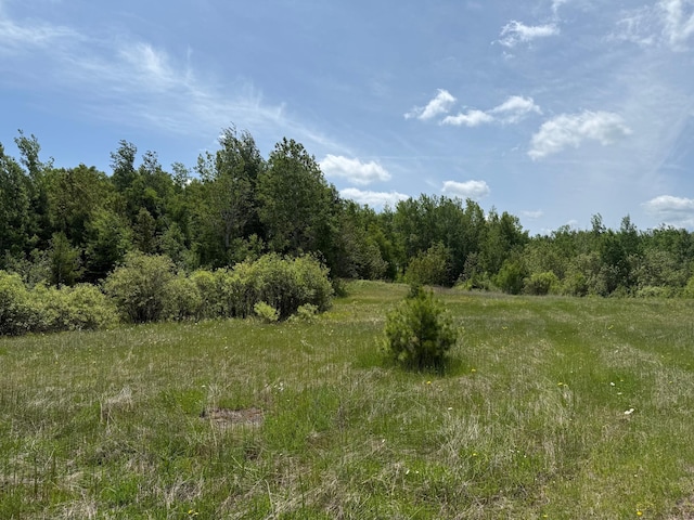 TBD Pequaywan Lake Rd, Duluth, MN 55803