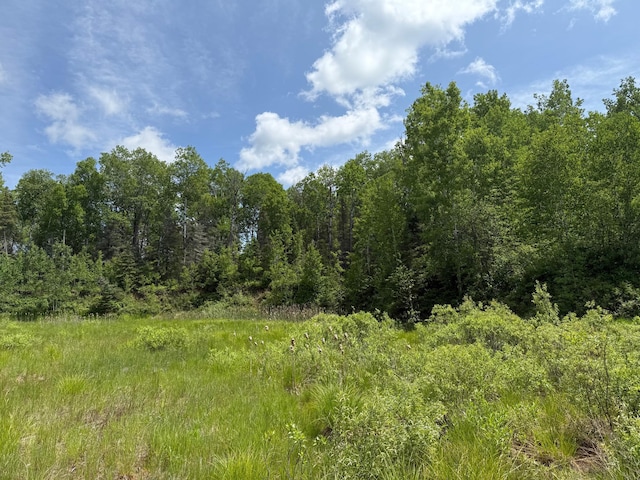 TBD Pequaywan Lake Rd, Duluth, MN 55803