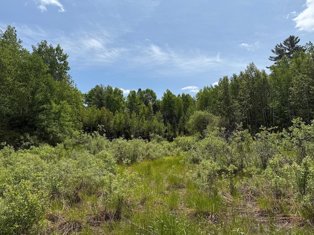 TBD Pequaywan Lake Rd, Duluth, MN 55803