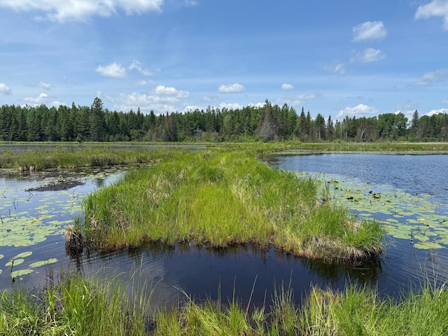 TBD Pequaywan Lake Rd, Duluth, MN 55803