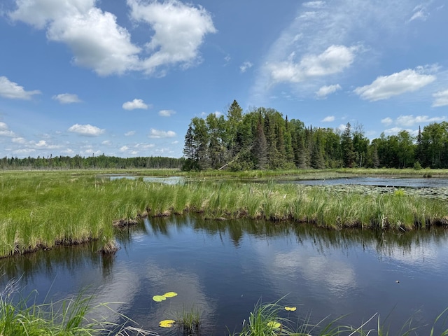 TBD Pequaywan Lake Rd, Duluth, MN 55803