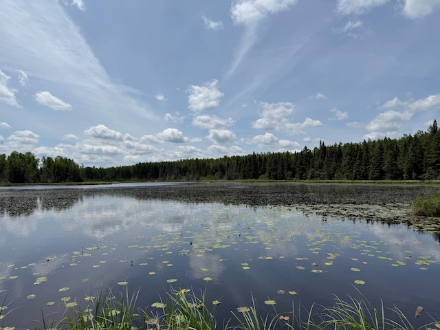 TBD Pequaywan Lake Rd, Duluth, MN 55803