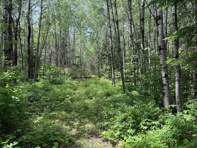 TBD Pequaywan Lake Rd, Duluth, MN 55803