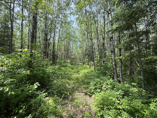 TBD Pequaywan Lake Rd, Duluth, MN 55803