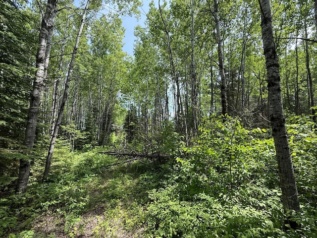 TBD Pequaywan Lake Rd, Duluth, MN 55803