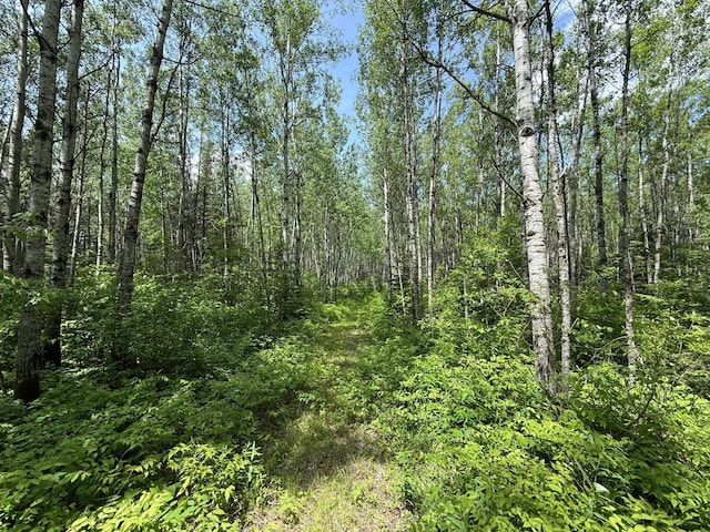 TBD Pequaywan Lake Rd, Duluth, MN 55803