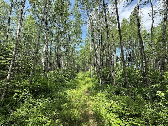 TBD Pequaywan Lake Rd, Duluth, MN 55803