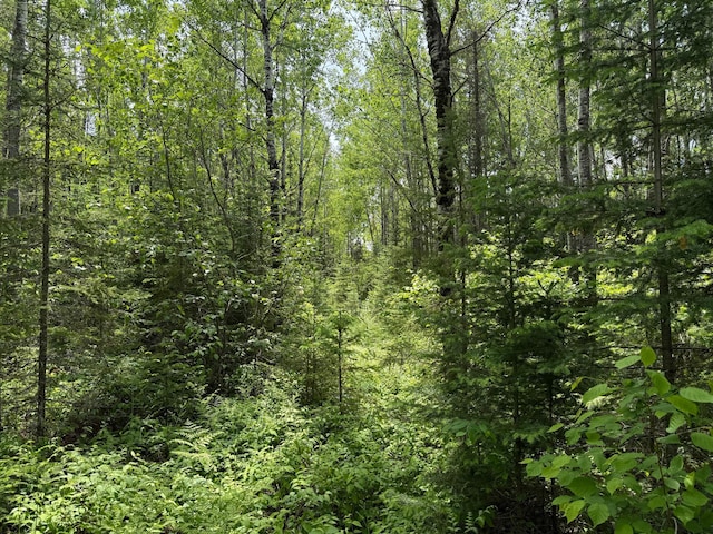 TBD Pequaywan Lake Rd, Duluth, MN 55803
