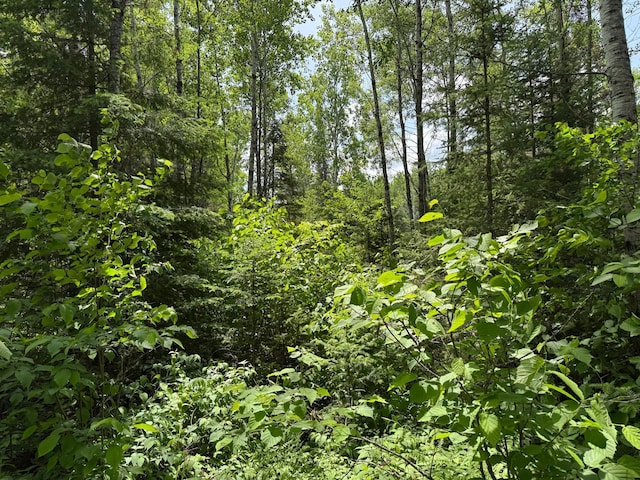 TBD Pequaywan Lake Rd, Duluth, MN 55803