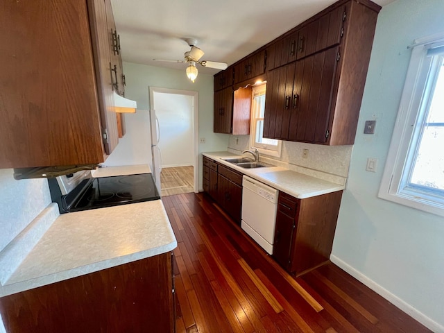 kitchen featuring sink, stainless steel electric range, white dishwasher, dark hardwood / wood-style flooring, and backsplash