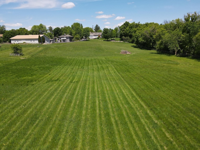 3685 Watertown Rd, Orono, MN 55359 - view of green lawn