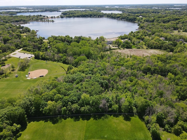 3685 Watertown Rd, Orono, MN 55359 - aerial view of a nearby body of water and a heavily wooded area