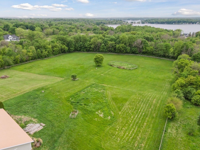 3685 Watertown Rd, Orono, MN 55359 - aerial view of a nearby body of water