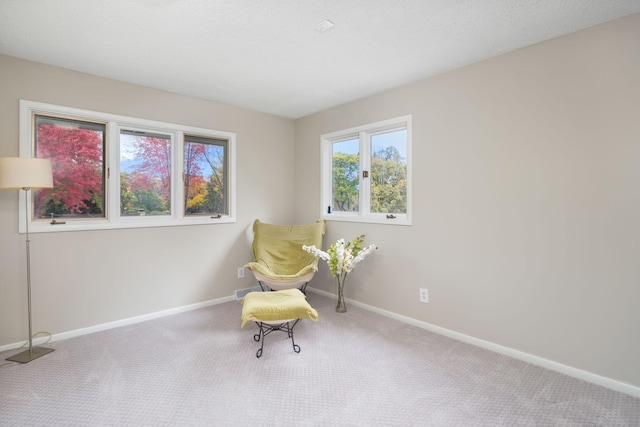 sitting room with light carpet and a textured ceiling