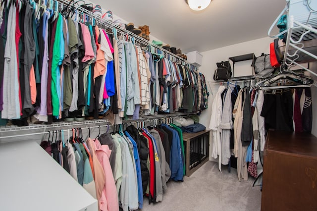 walk in closet featuring carpet flooring