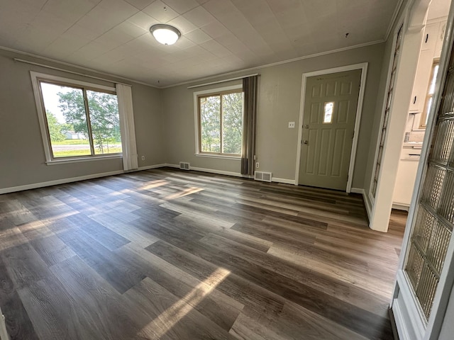 entryway featuring crown molding, dark wood-type flooring, and a wealth of natural light