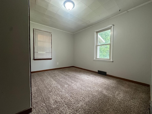 spare room with ornamental molding and carpet flooring