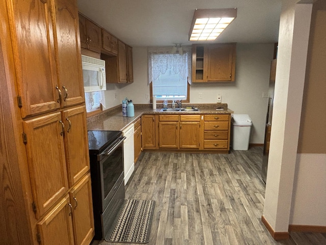 kitchen with sink, light hardwood / wood-style flooring, and electric range