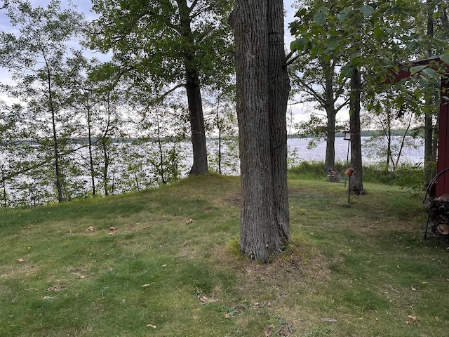 view of yard with a water view