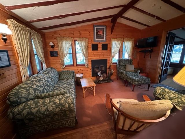 living room with a large fireplace, a healthy amount of sunlight, and wood walls