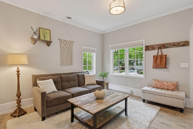 1989 Iglehart Ave, Saint Paul, MN 55104 - living area featuring light wood-style floors, ornamental molding, baseboards, and a baseboard heating unit
