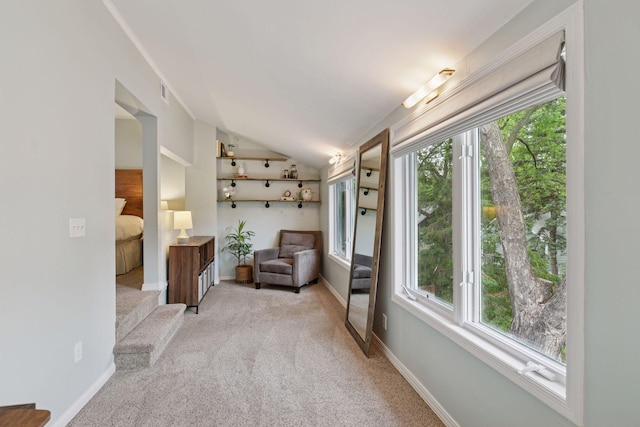 1989 Iglehart Ave, Saint Paul, MN 55104 - sitting room featuring light carpet, lofted ceiling, plenty of natural light, and baseboards