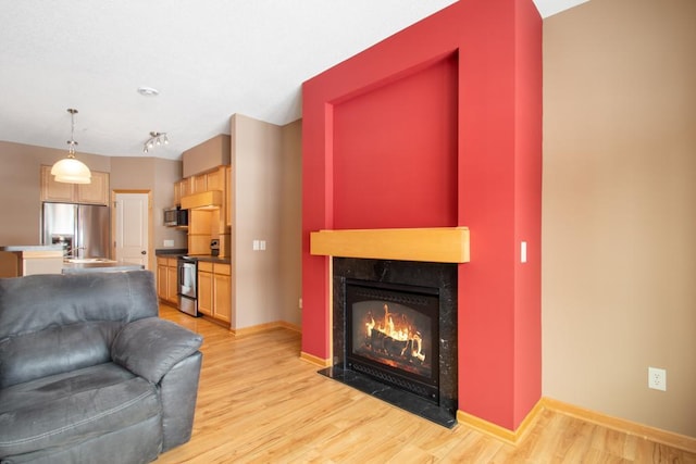 living room with sink, a fireplace, and light hardwood / wood-style flooring