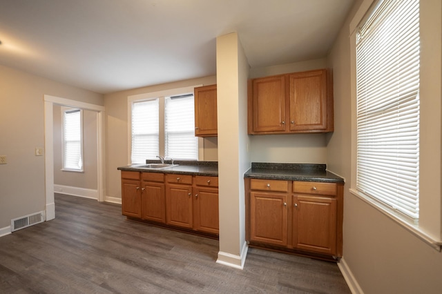 kitchen featuring sink and dark hardwood / wood-style floors