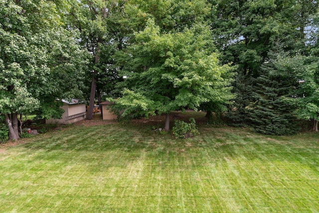2536 Saunders Lake Dr, Minnetrista, MN 55364 - view of grassy yard