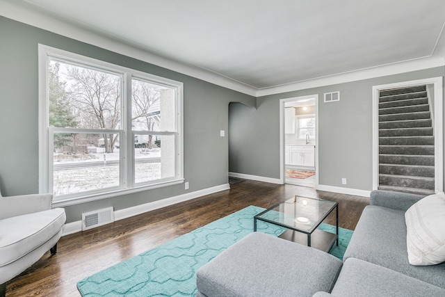 living room with dark hardwood / wood-style flooring