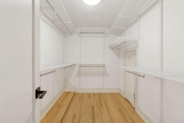 spacious closet featuring wood finished floors