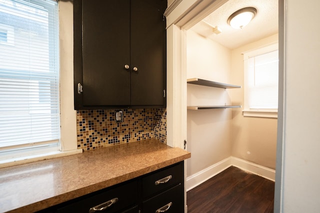 kitchen with tasteful backsplash, dark hardwood / wood-style flooring, and a wealth of natural light