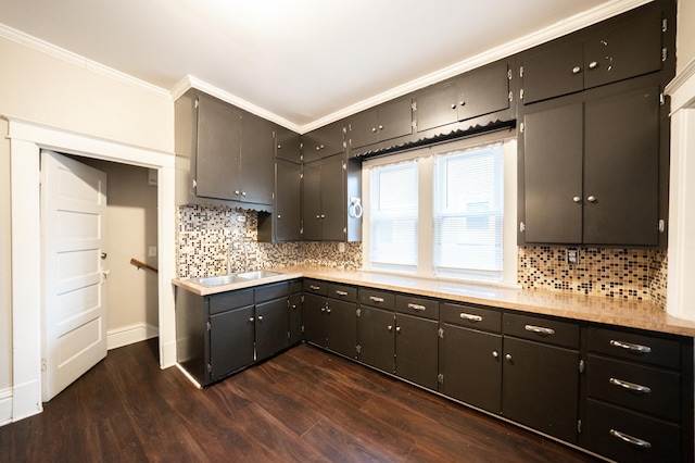 kitchen with tasteful backsplash, sink, crown molding, and dark wood-type flooring