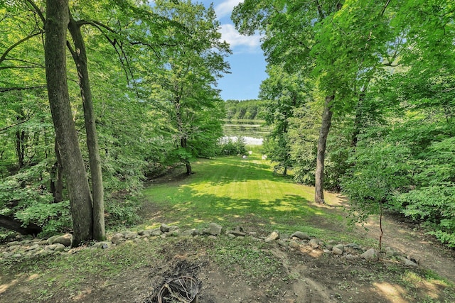 view of yard featuring a water view