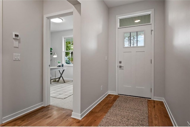 entrance foyer with light hardwood / wood-style flooring and a wealth of natural light